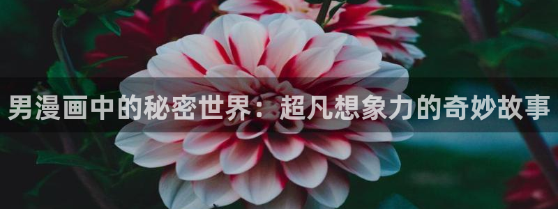 五一漫画网页版
